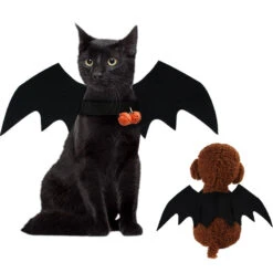 Aile De Chauve-Souris [pour Chat]