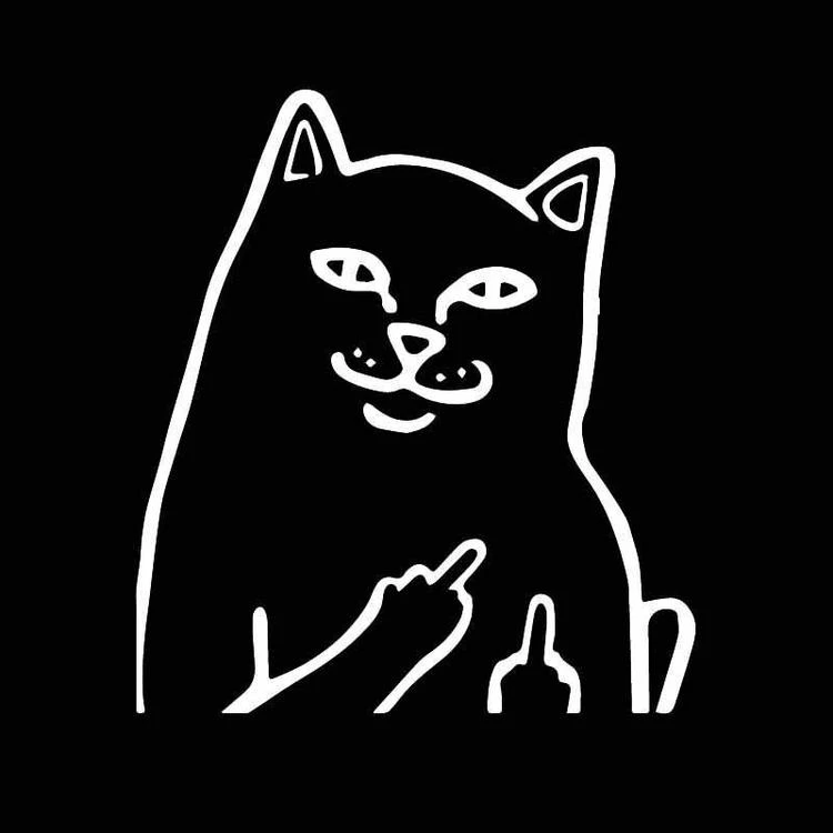 Stickers Voiture Chat Grossier 4 Stickers Voiture Chat Grossier – Image 2