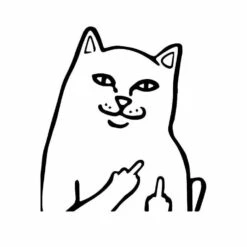 Stickers Voiture Chat Grossier