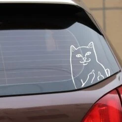 Stickers Voiture Chat Grossier 13 Stickers Voiture Chat Grossier -Beauf Land autocollant drole pour voiture 6