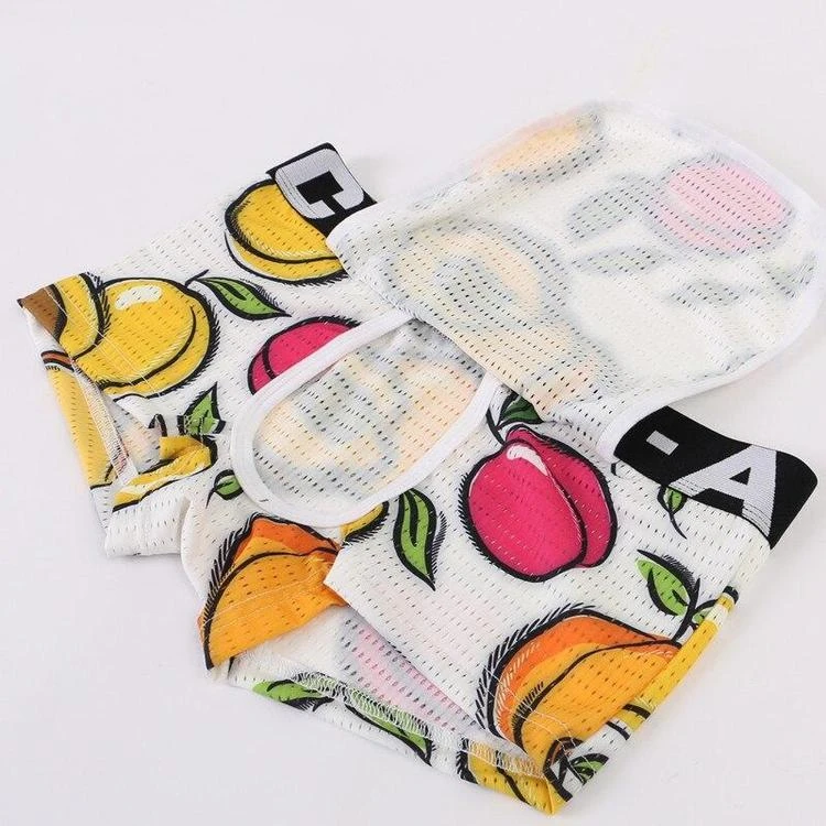 Caleçon Pêches 4 Caleçon Pêches – Image 2