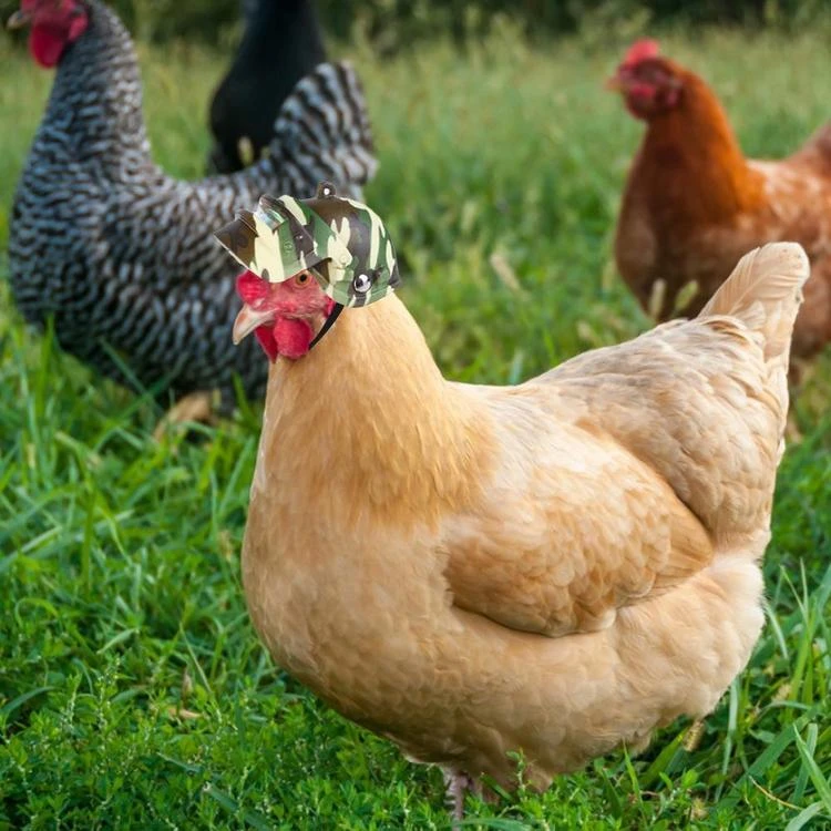 Casque à Poule Camouflage 4 Casque à Poule Camouflage – Image 2