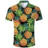 Chemise Ananas -Beauf Land chemise ananas 2