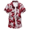 Chemise Californienne -Beauf Land chemise californienne homme 5