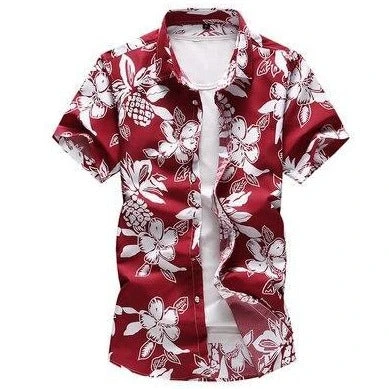 Chemise Californienne 3 Chemise Californienne