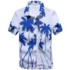 Chemise Hawaïenne -Beauf Land chemise hawaienne beauf 2