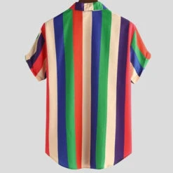 Chemise Multicolore à Rayures 10 Chemise Multicolore à Rayures -Beauf Land chemise multicolore rayure 5