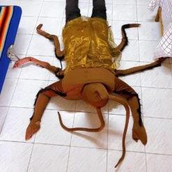 Costume Moustique 7 Costume Moustique -Beauf Land costume moustiques 3