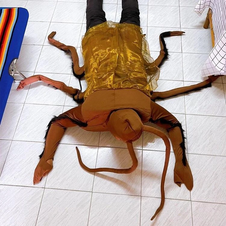 Costume Moustique 5 Costume Moustique – Image 3