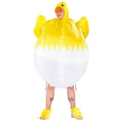 Costume Poussin