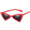 Lunettes Triangle Rouge 2 Lunettes Triangle Rouge -Beauf Land lunette triangle rouge 2