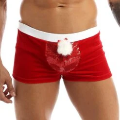 Slip Pompon De Noel -Beauf Land slip moche homme 2