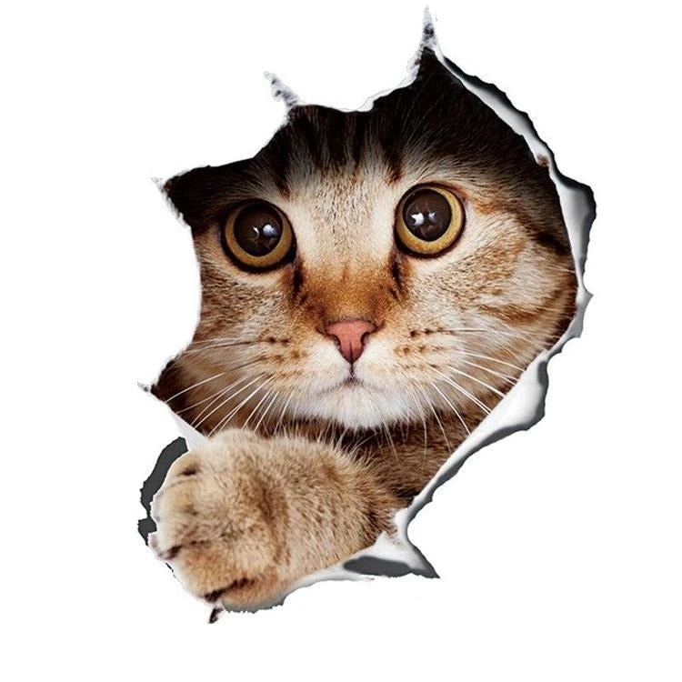 Stickers Chat 3 Stickers Chat