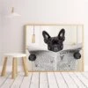 Poster Chien & Journal 2 Poster Chien & Journal -Beauf Land toile animaux rigolos